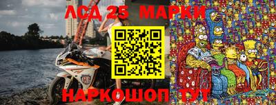 индика Кулебаки