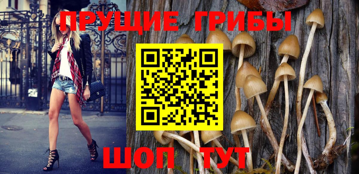 Псилоцибиновые грибы Magic Shrooms Дзержинск