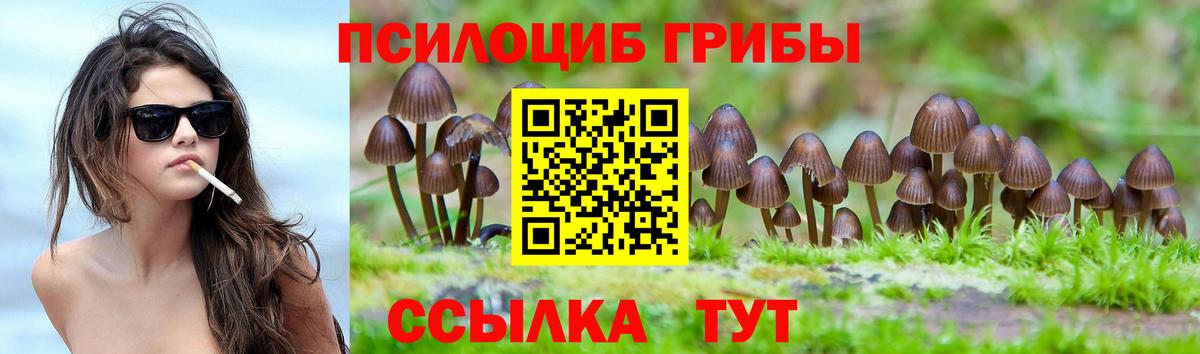 Псилоцибиновые грибы Cubensis  Вход с VPN  Дзержинск  Галлюциногенные грибы MAGIC MUSHROOMS 